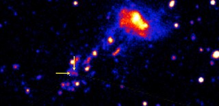 Stars born in the wild