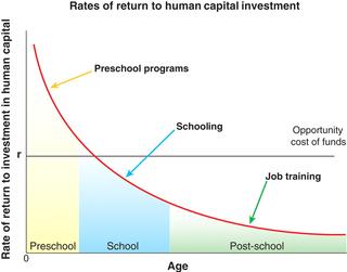 Rates of return to human capital investment in disadvantaged children